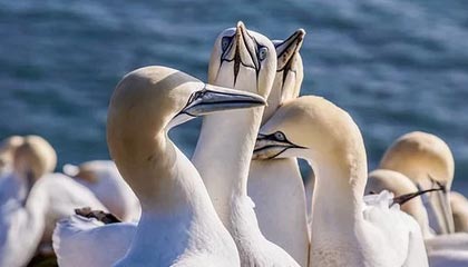 开云体育_ NBA新赛季展望 谁将成为最大黑马？，nba2020-2021赛季开