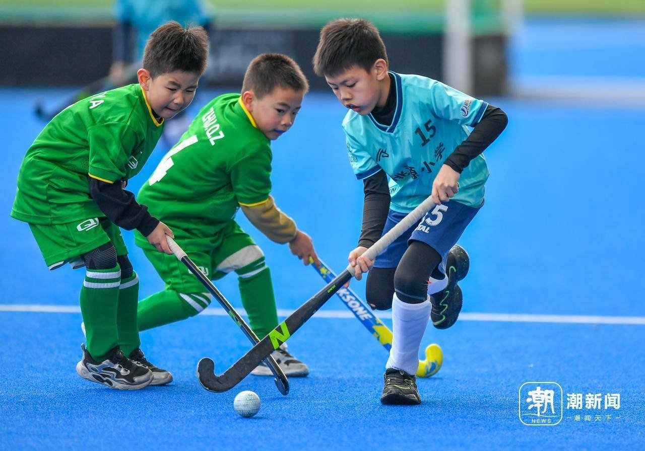 曲棍球联赛：速度与爆发力的展示的简单介绍