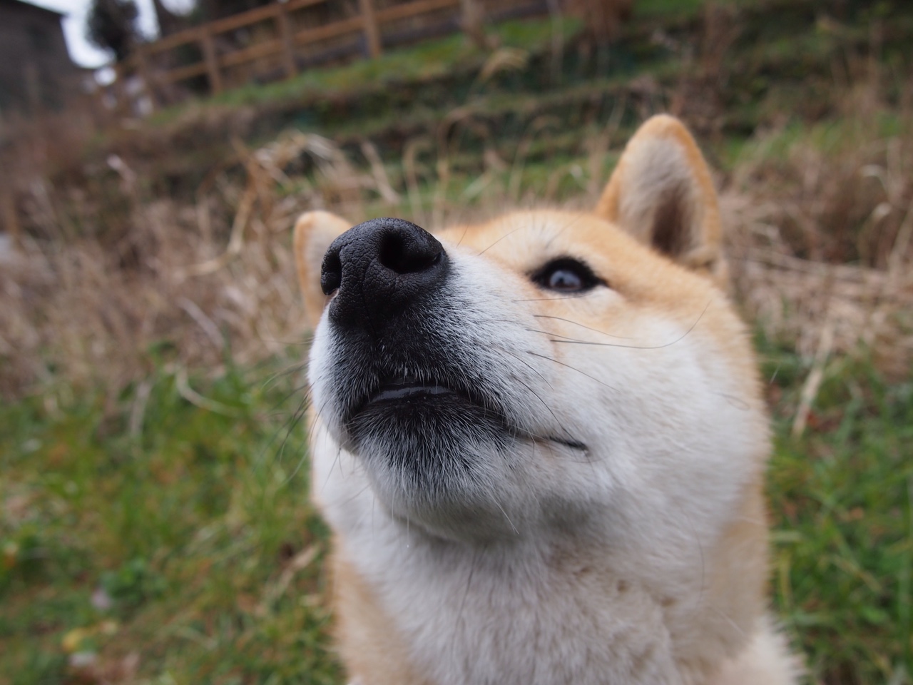 “裁判“零误判”之路:多技术融合下的行业标准制定”