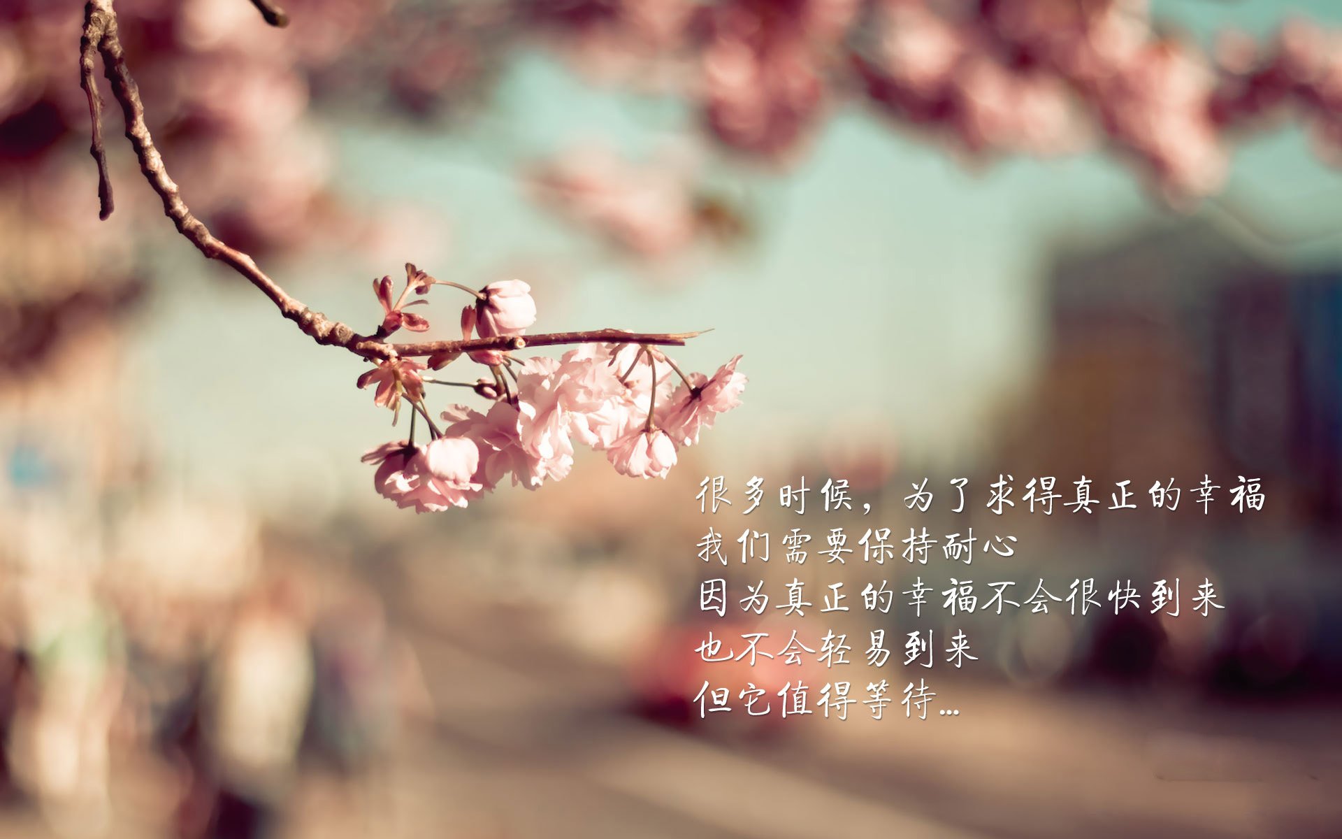 意甲新晋年轻球员频繁亮相,未来可期,意甲年轻后卫