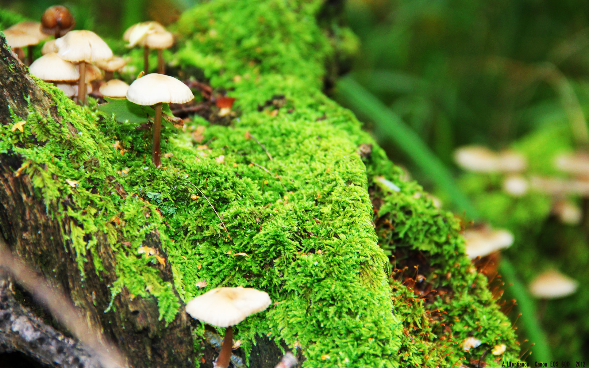 法甲发展足球足球学院,普及青少足球运动,足球比赛法甲