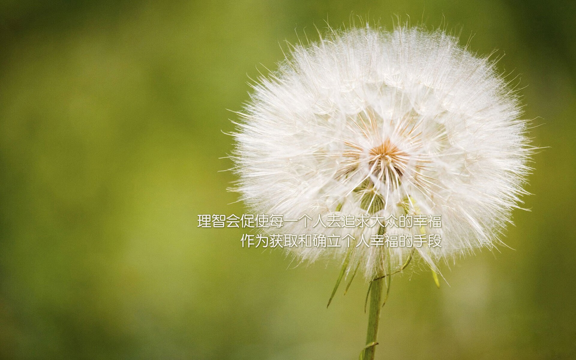 球员成名记:本赛季的爆发之星,球星成长礼包是啥