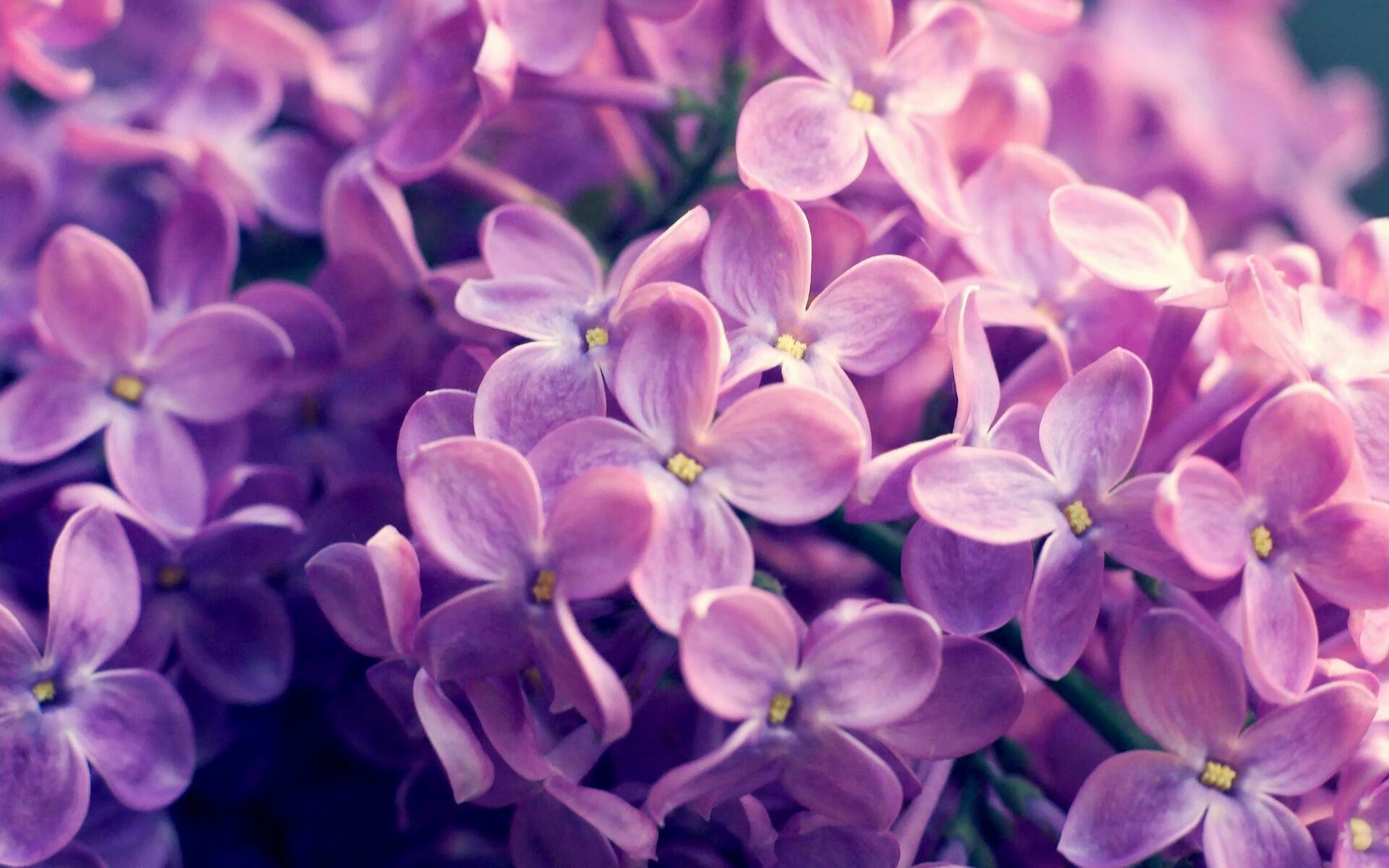 英格兰全场控球率高达68%,英格兰全队