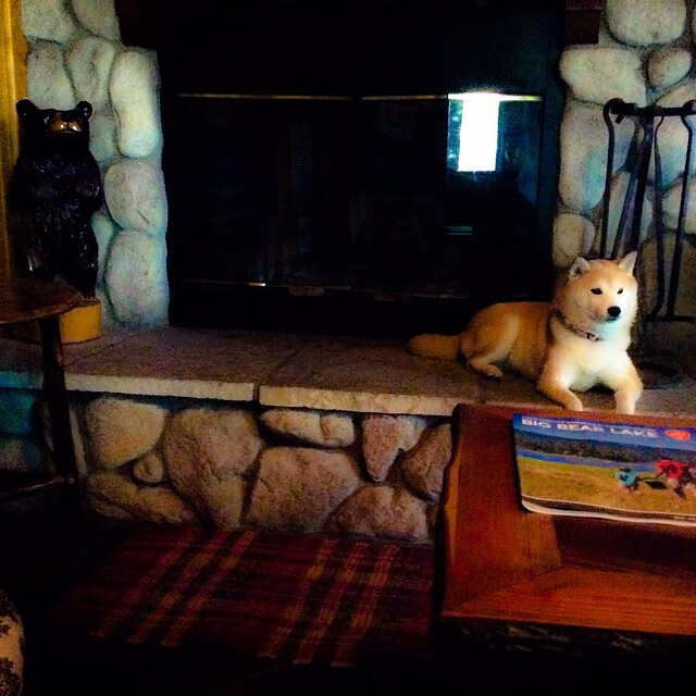 东道主出局夜，巴黎陷入沉默，东巴黎 tno