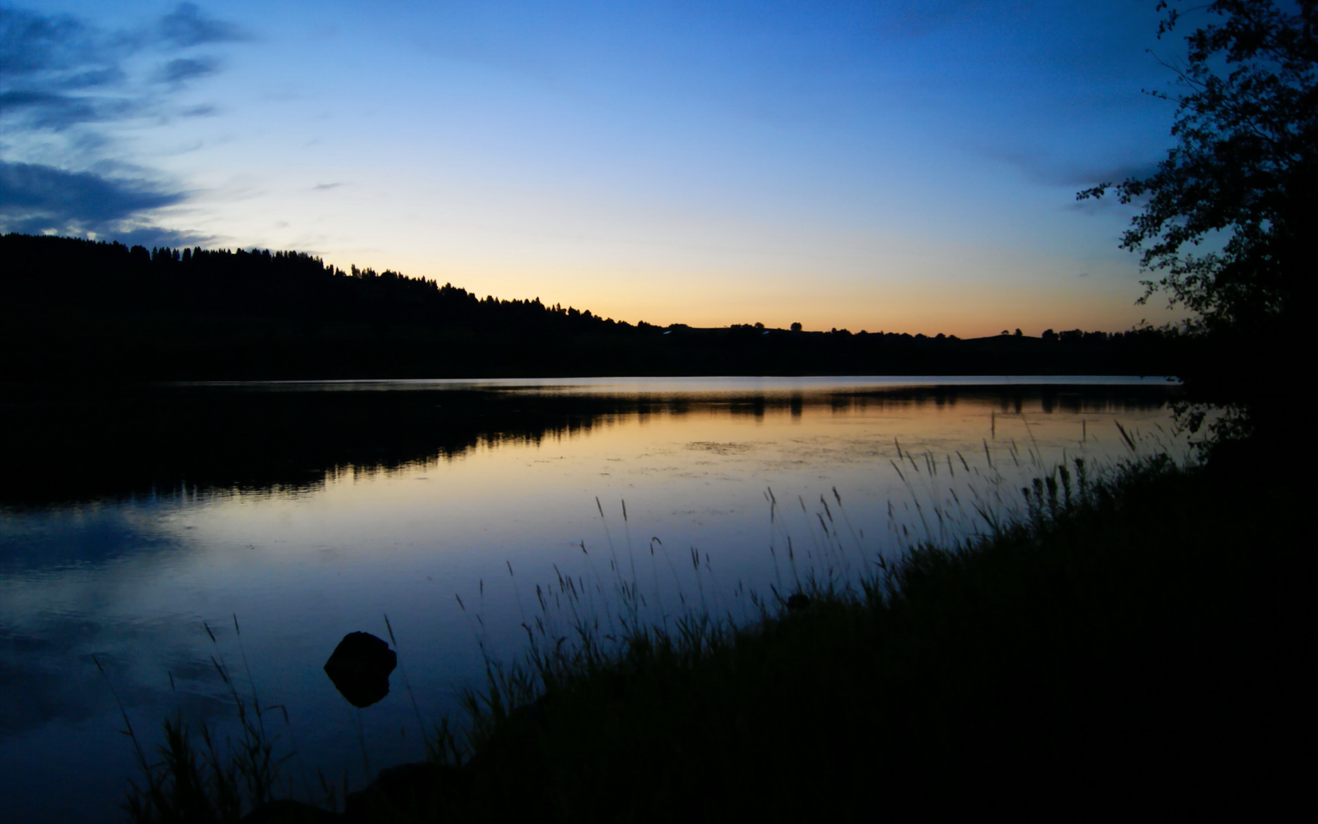 山西汾酒新秀球员训练表现抢眼，山西汾酒队现在名单