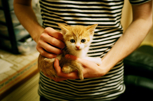 弗赖堡对决巴伐利亚，升班马争霸，弗赖堡vs汉堡预测