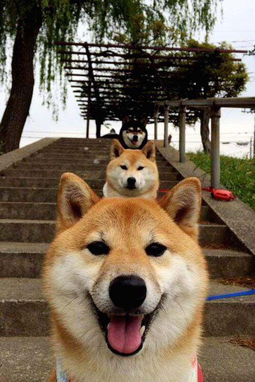 弗赖堡球员展现出色的进攻，轻松战胜对手，弗赖堡vs莱比锡比分预测