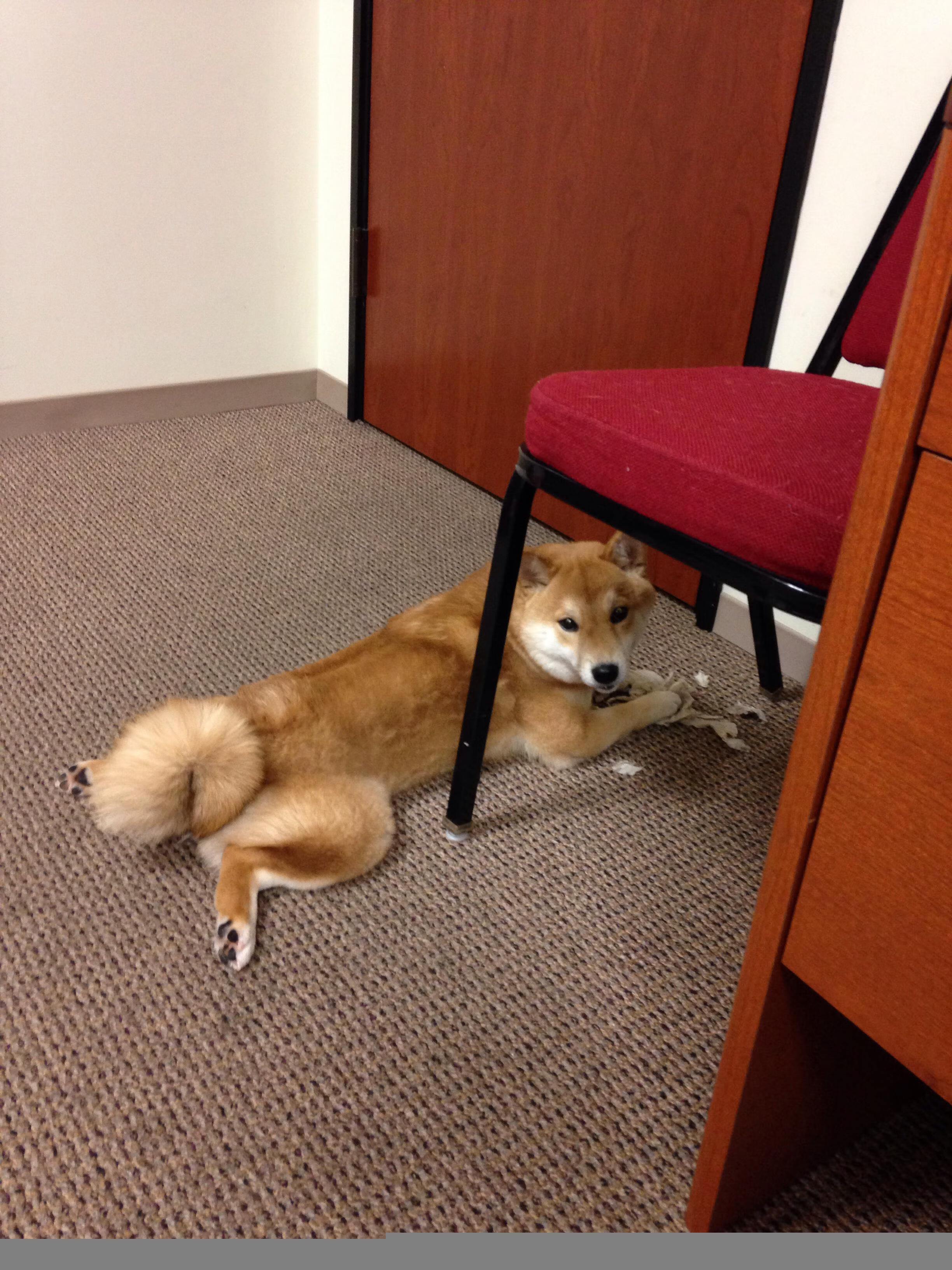 电竞社区冲突管理与和谐建设策略，电竞社区平台