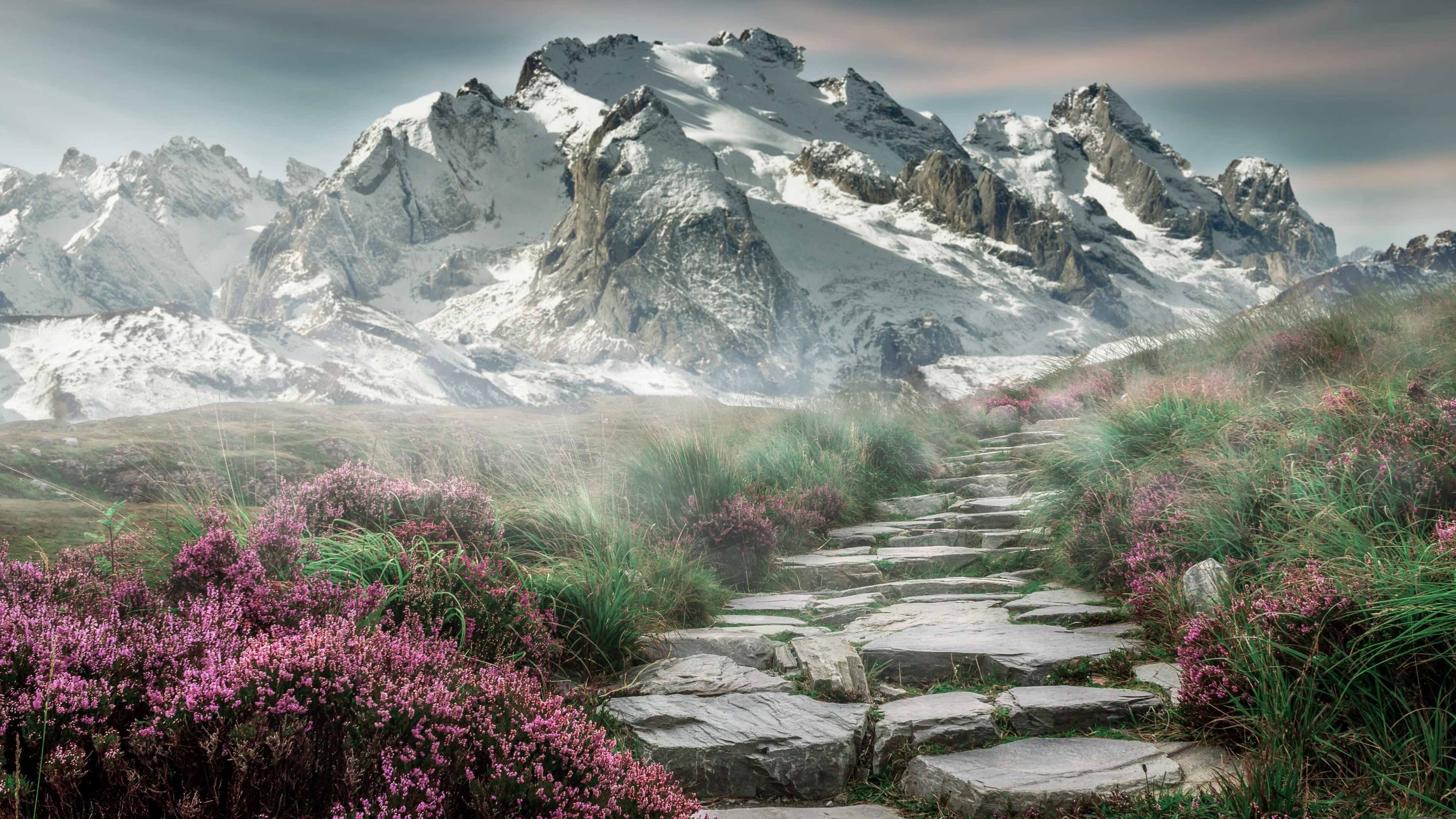 贵州恒丰智诚队客场击败天津泰达队，贵州恒丰智诚球员名单