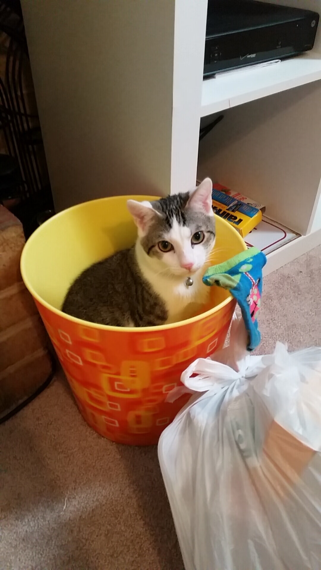 阿根廷3-1逆转巴西，晋级美洲杯四强，美洲杯_阿根廷1_0胜巴拉圭提前晋级八强