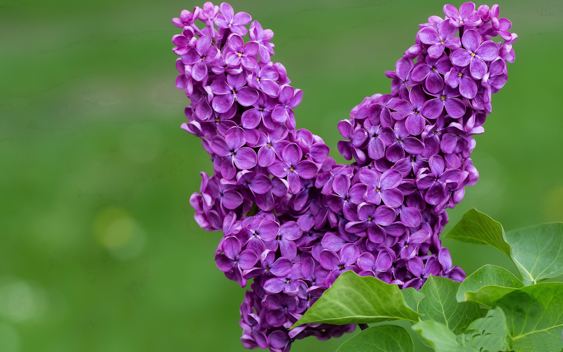 中甲俱乐部战术体系分析，中甲参赛队