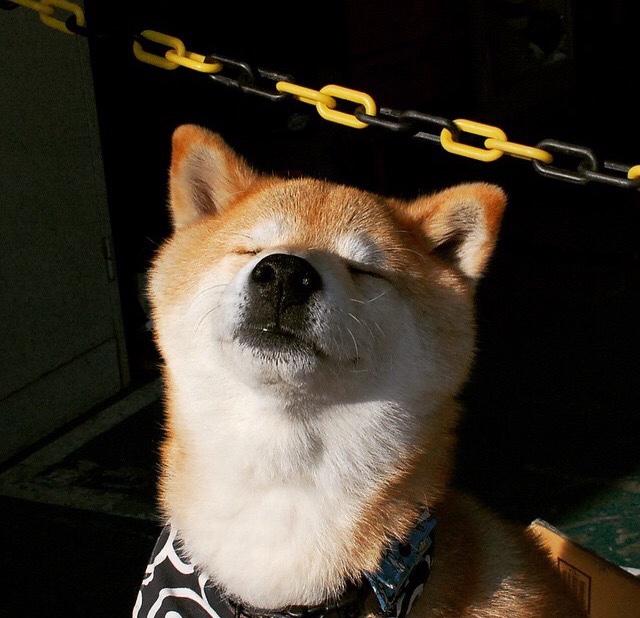 全国青少年花样滑冰赛掠影冬日青春,全国青少年花样滑冰锦标赛