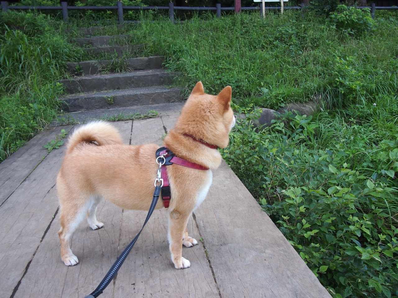 运动装备质量检测技术创新，运动装备鉴定