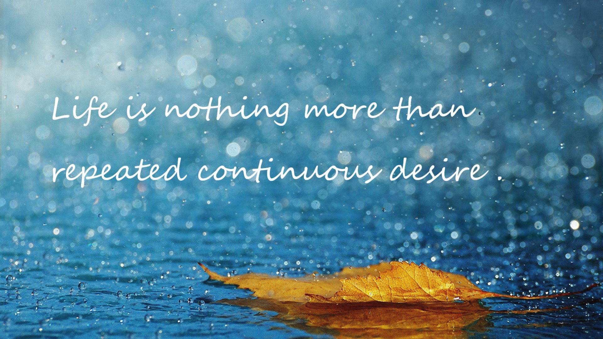 女子400混德国健将完成突破，德国女子5000米运动员