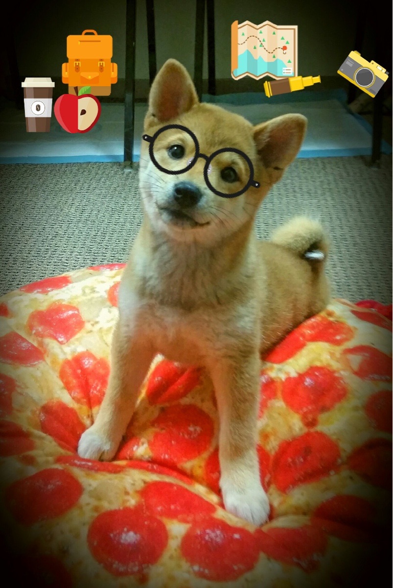 球员跑位是否越来越依赖战术引导而非临场判断，跑位最好的球员