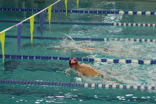 自由泳预赛突尼斯多人晋级，自由泳2021